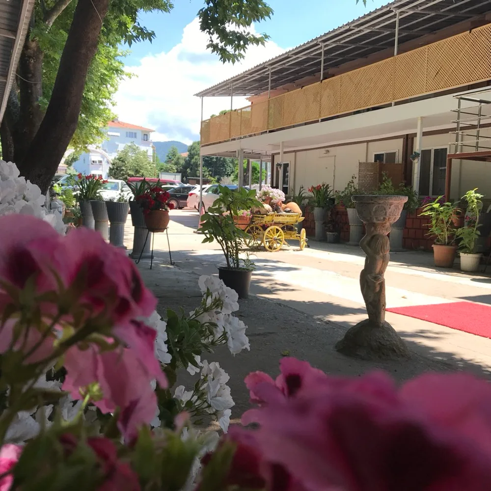 Kafkas Motel Erdek bahçe ve yürüyüş alanı